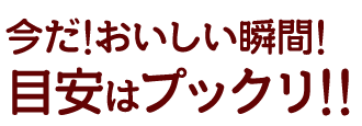 目安はプックリ