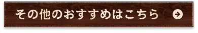 その他のおすすめ