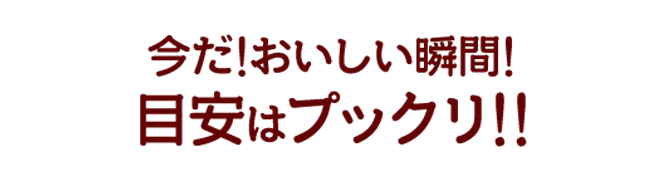 目安はプックリ