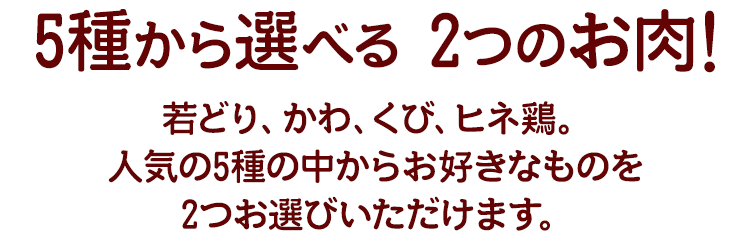 5種から選べる