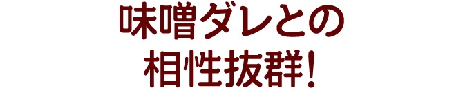 味噌ダレとの相性抜群!