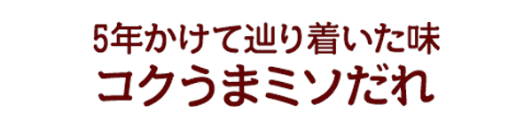 コクうまミソだれ