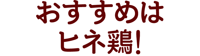 おすすめはヒネ鶏!